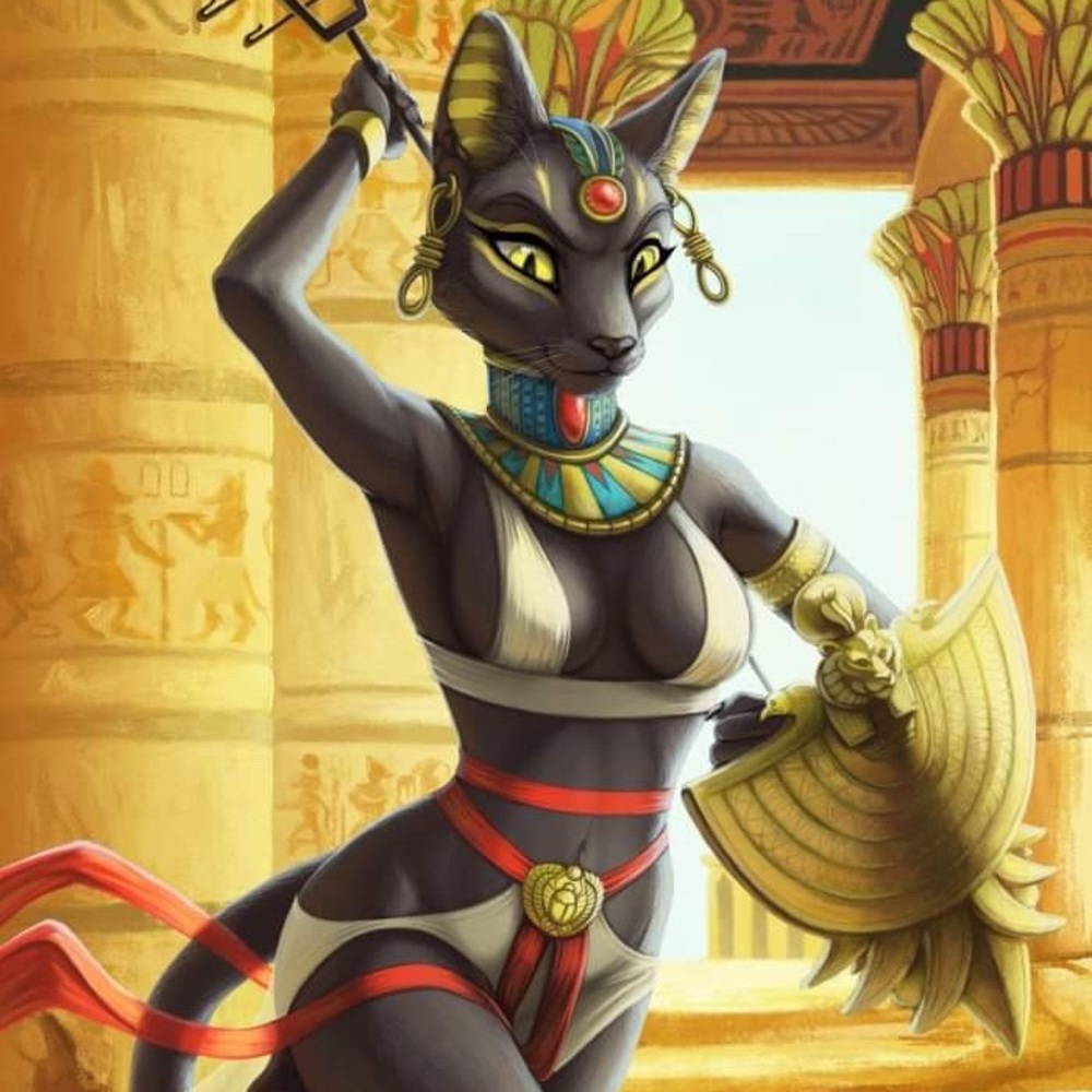 😻🐈‍⬛😻🐈‍⬛😻🐈‍⬛😻🐈‍⬛😻🐈‍⬛😻🐈‍⬛😻